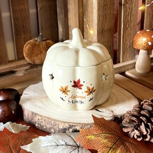 Brûle parfum automne vibes 1