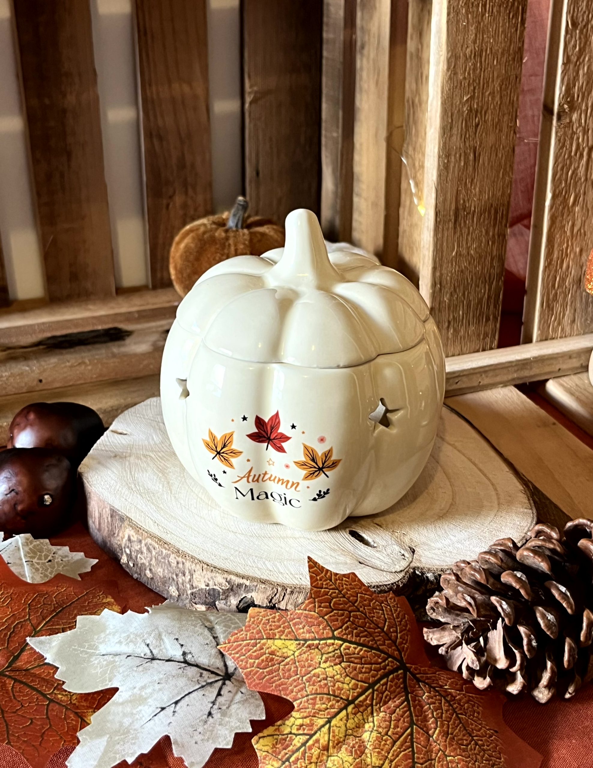 Brûle parfum automne vibes 2