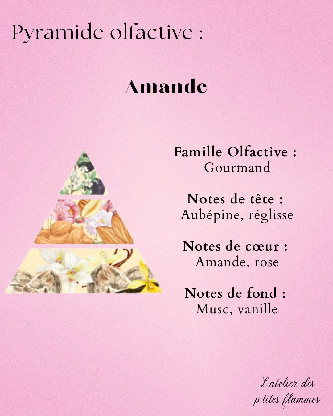 Eclat d'amande – Image 3