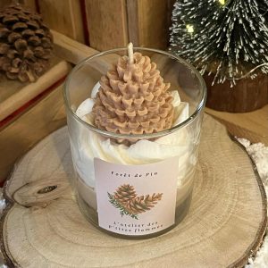 Foret de pins