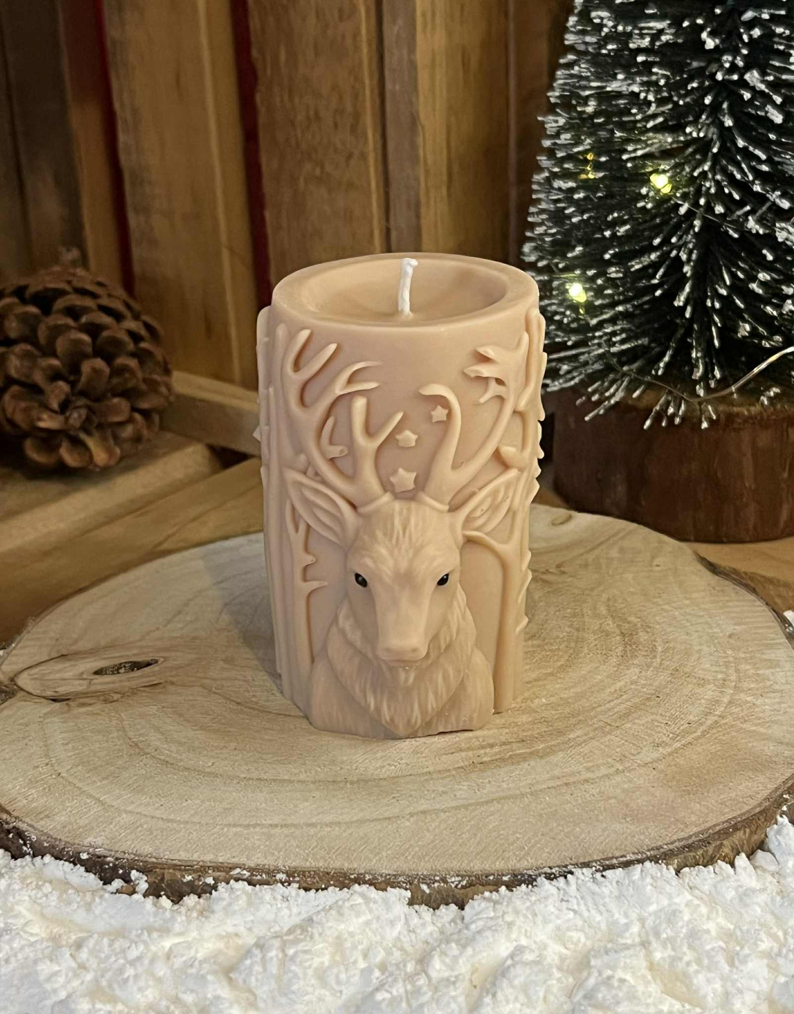 Foret enchantée 1