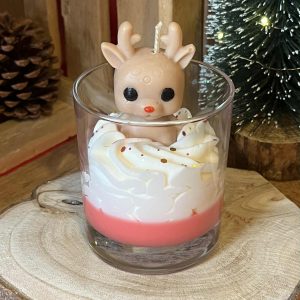 Voyage de Noel