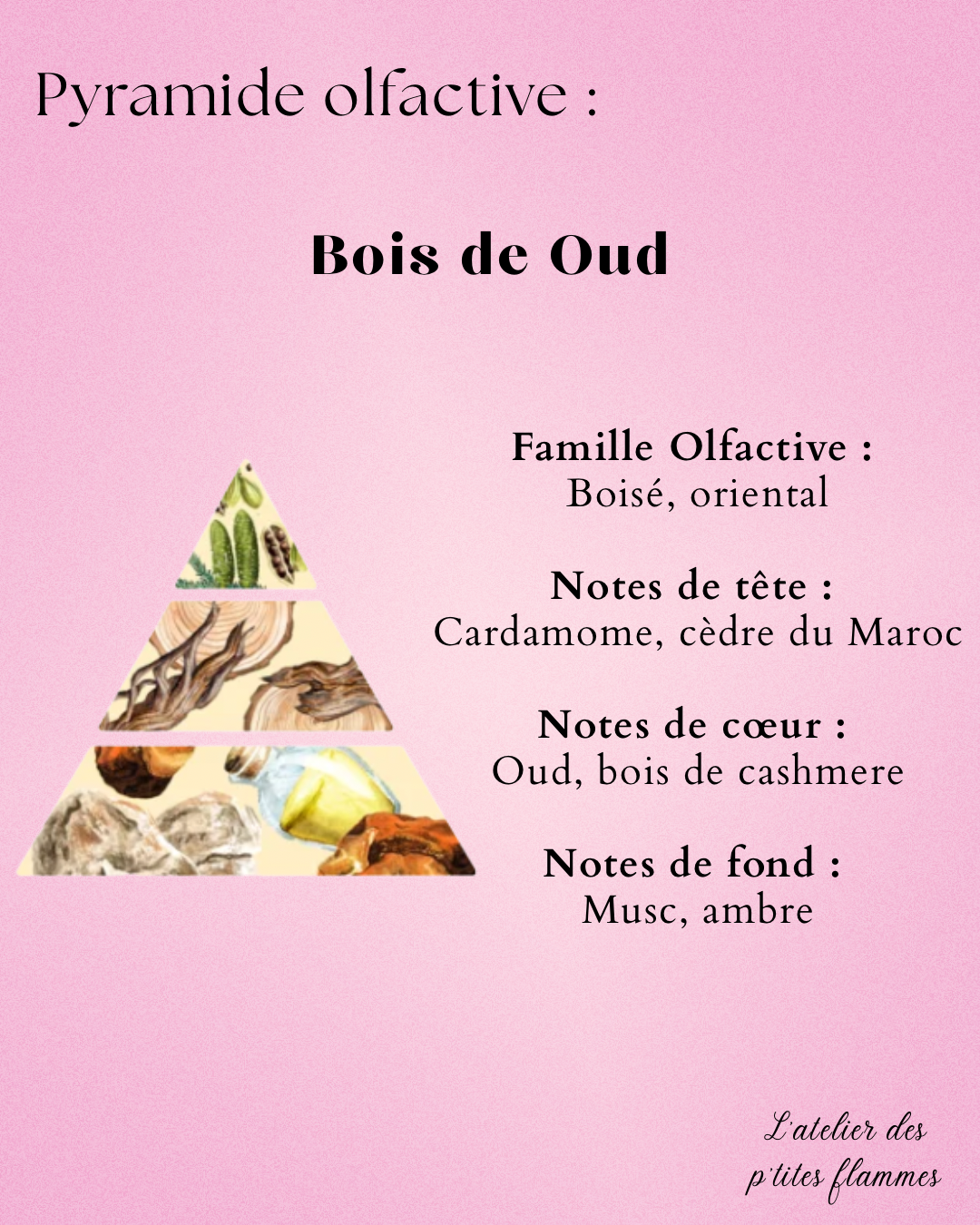 La forêt enchantée – Image 3