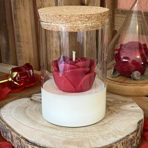 Rose éternelle