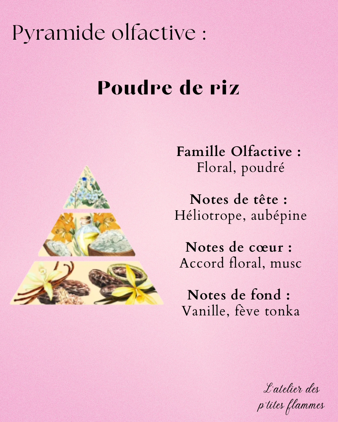 Le cavalier – Image 4