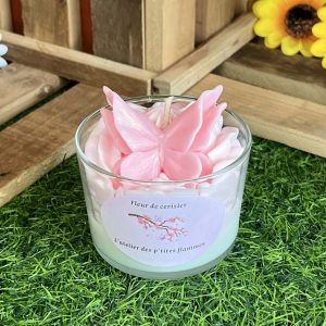Fleur de cerisier
