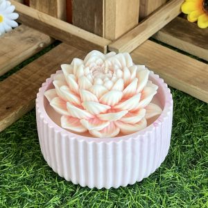 Fleur de lotus