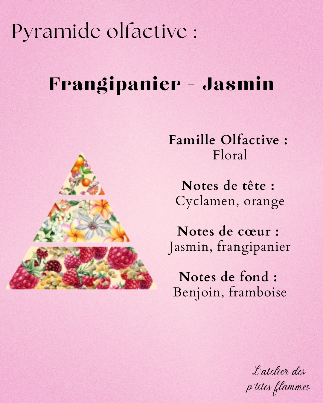 Fleur des îles – Image 3