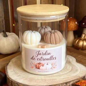 Jardin de citrouilles
